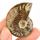 Fossil ammonite whole from Madagascar (24g)