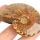 Fossil ammonite whole from Madagascar 69g
