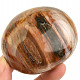Smooth stone petrified wood (Madagascar) 250g