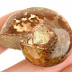 Fossil ammonite whole from Madagascar 29g