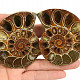 Pair of ammonites from Madagascar 197g