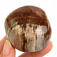 Kámen zkamenělé dřevo (142g)
