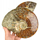 Ammonite conglomerate (Madagascar) 3284g