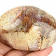 Hladký kámen zkamenělé dřevo (Madagaskar) 158g
