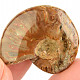 Fossil ammonite in total 23g