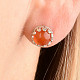 Carnelian round earrings with rim Ag 925/1000 + Rh