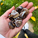 Agate sardonyx heart 30mm