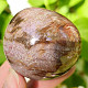 Petrified wood smooth stone from Madagascar (125g)