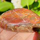Petrified wood smooth stone from Madagascar 90g