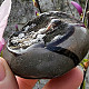 Septaria dragon stone with cavity and crystals 166g Madagascar