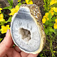 Natural agate geode with Brazil cavity 233g