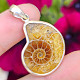 Silver pendant with ammonite Ag 925/1000 5.1g