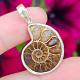 Silver pendant with ammonite Ag 925/1000 (4.1g)