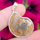 Silver pendant with ammonite Ag 925/1000 5.1g