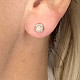 Rose gold stud earrings Ag 925/1000