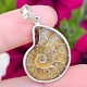 Silver pendant with ammonite Ag 925/1000 4.3g