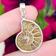Silver pendant with ammonite Ag 925/1000 3.4g