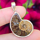 Silver pendant with ammonite Ag 925/1000 3.9g