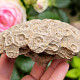 Fossilized coral from Morocco 374g