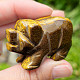 Tiger eye pig from India