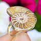 Ammonite ring size uni Ag 925/1000 4.9g