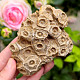 Fossilized coral from Morocco 335g