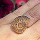 Ammonite ring with a rim enlargement Ag 925/1000 (4.8g)