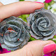 Heliotrope rose flower cut approx. 34mm