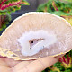 Agate geode with a hollow 227g from Brazil