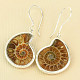 Ammonite earrings Ag 925/1000 5.7g