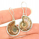 Ammonite earrings Ag 925/1000 6.0g