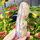 Agate gray geode with a hollow 403g from Brazil