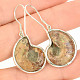 Ammonite earrings Ag 925/1000 5.9g