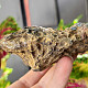 Petrified coral 254g (Morocco)