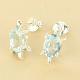 Topaz blue turtle earrings Ag 925/1000