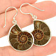 Dark ammonite earrings Ag 925/1000 7.4g