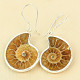 Ammonite earrings Ag 925/1000 7.7g