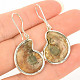 Ammonite earrings Ag 925/1000 7.2g