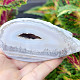 Gray agate geode with hollow 262g (Brazil)