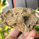 Petrified coral 392g (Morocco)