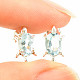 Topaz blue turtle earrings Ag 925/1000