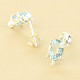 Topaz blue turtle earrings Ag 925/1000