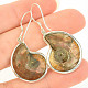 Ammonite earrings Ag 925/1000 7.7g