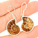 Ammonite earrings Ag 925/1000 5.9g