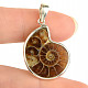 Ammonite pendant Ag 925/1000 4.3g