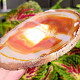 Agate polished honey slice from Brazil 114g