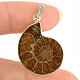 Ammonite pendant Ag 925/1000 6.4g