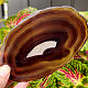 Agate polished brown slice from Brazil 104g