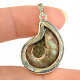 Ammonite pendant Ag 925/1000 6.4g