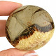 Septaria smooth stone Madagascar (80g)